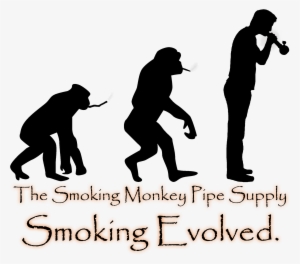 Evolution Is Fake News