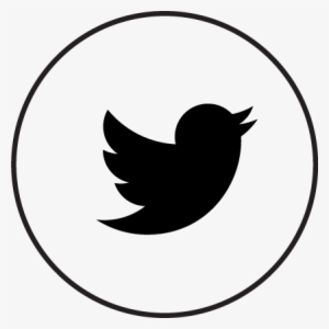 Twitter Recipes (blank Cookbook To Organize Your Twitter