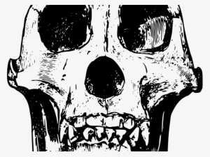 Sugar Skull Clipart Silhouette - Drawing Of Gorilla Skull