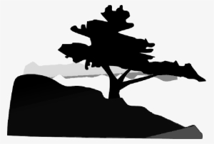 Mb Image/png - Bonsai Tree Clip Art