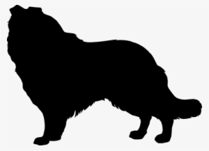 Silhouette Dog Collie Mammal Canine Dog Do - Collie Silhouette Transparent Background