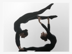 Two Women Contortionist Exercising Gymnastic Yoga Silhouette - La Fisica Agile. I Saperi Da Sapere. Con E-book. Con