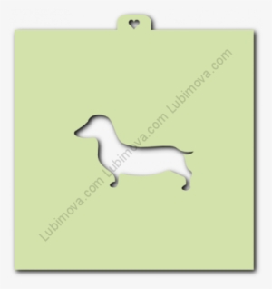 Year Of The Dog » - Dachshund