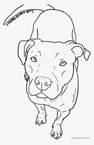Clipartblack Com Animal Free Black White Images - Easy To Draw Pitbull