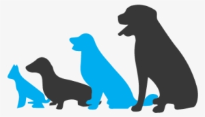 Small Group Segregation - Dog