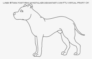 Drawn Pit Bull - Drawing