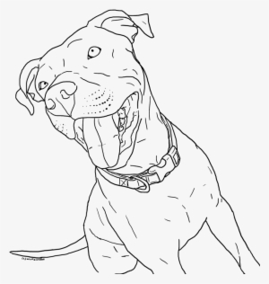 Pitbull Coloring Pages Little Coloring Page Pitbull - Drawing Of Baby Pitbull