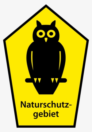 Kretschmann Was The Originator Of The "owl" Silhouette - Nature