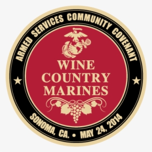 Rear Cover Plate For Ruger Lc9s Pistol - Marine Anchor