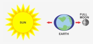 Spring Tide Explained - Solar Control Glass Detail