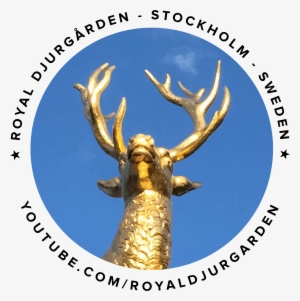 Logo Royaldjurgarden Royaldjurgården Royal Djurgården - Not Our Abilities But Our Choices