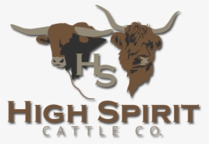 Rajasthan High Court Logo