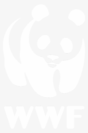 Wwf Logo White Transparent
