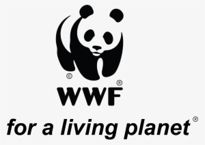 Logo N Tagline-01 - Save The Tigers Logo