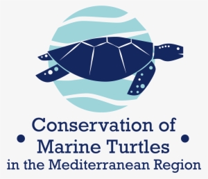 The Partners Involved Are - Madrid Travel Guide: The Top 10 Highlights