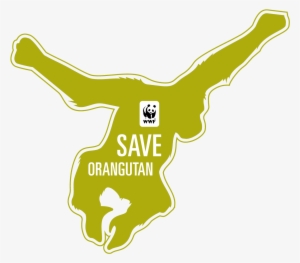 Befriending Orangutan - Wwf