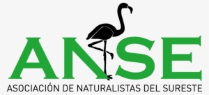 Consultation Responses Or Further Campaigning Activities