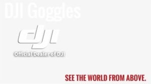 About Dji Goggles - Swimming World