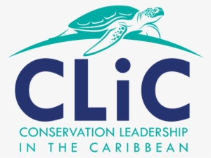 Conservation Leadership In The Caribbean Is A Training - Portable Network Graphics
