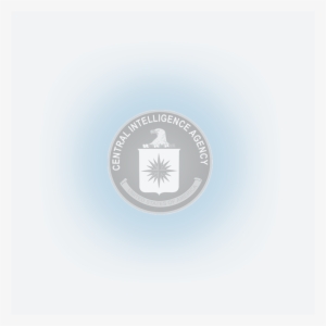 Access Granted - Cia Seal