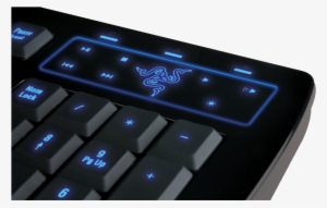 Welcome To Razerstore - Razer Lycosa Usb Keyboard