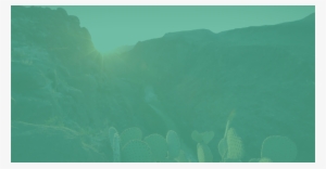 World Wildlife Fund - Underwater