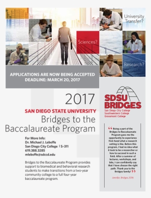 Sdsu / City College Bridges To The Baccalaureate Program - Flyer