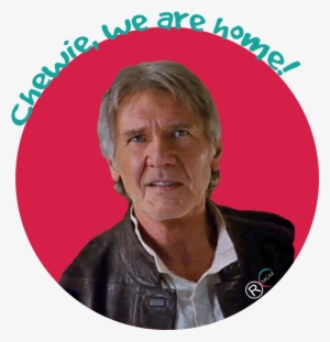 We Are Captivated, Excited, Nostalgic Or Frustrated - Star Wars Rogue One Harrison Ford