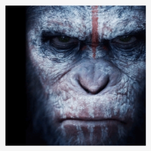 Smartphone And Pc Strategy Title Plague Inc Has Nabbed - Planet Of The Apes Caesar T Shirt
