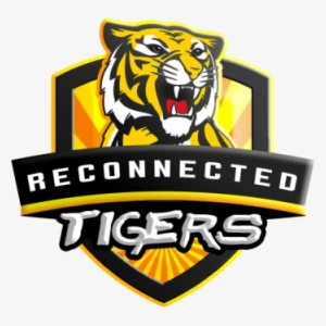 3-2 - Richmond Tigers Polar Fleece Throw Rug Blanket