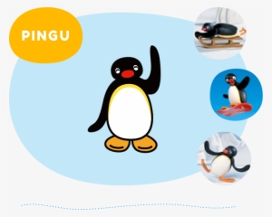 Pingu Is A 5 Year Old Boy Penguin - Pingu