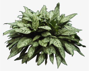 Architecture Entourage And Templates - Architecture