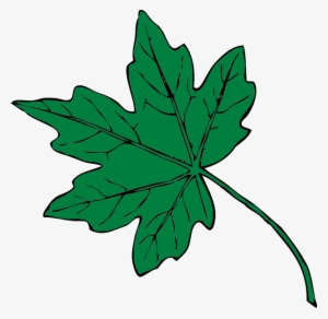 How To Set Use Mid Green Maple Leaf Icon Png