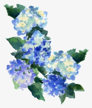 Transparent Transparent Blog Tumblr Transparent Transparent - Blue Watercolor Flowers Transparent