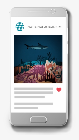 Phone-ig - National Aquarium