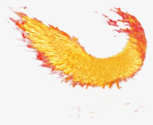 Fire Wings - Wings On Fire Png