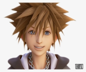 Sora Kingdom Hearts Hair