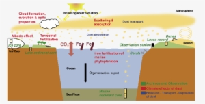 Fig - 1 Dust - In - Climate Lvg - Psd - Common Fig