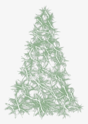 Mb Image/png - Pine
