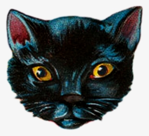 {click On Png Image To Download/save}