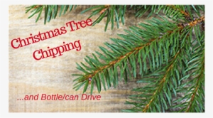 Christmas Tree Branch Png