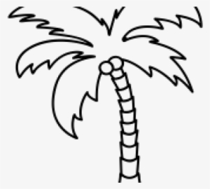 Palmeras Para Calcar