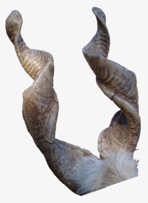 Goat Horns Png - Goat