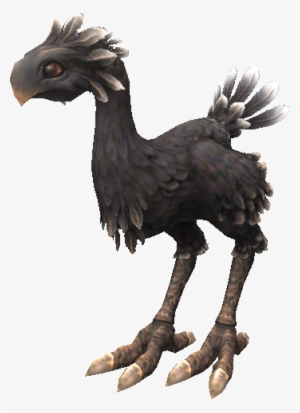 The Final Fantasy Wiki - Black Chocobo Ffxiii