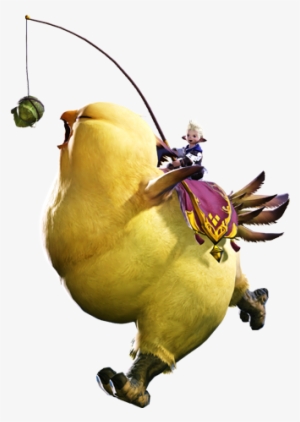 Final Fantasy Xiv - Ffxiv Fat Chocobo