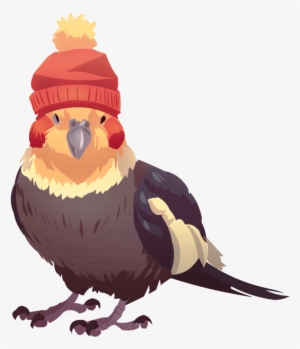Tielhat By Shalmons On Deviantart Clipart Royalty Free - Cockatiel Drawing