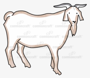 Goat Horns Beard - Goat