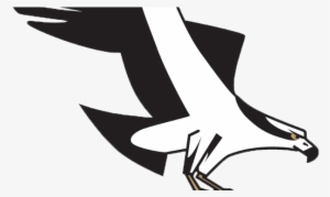 Osprey And Mustangs Postponed Friday Due To Field Conditions - Missoula Osprey