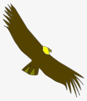 Vulture, Scavenger, Wildlife, Animal, Bird, Wings - Condor Clip Art