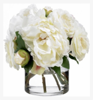 White Satiny Peonies - White Peonies In Vase